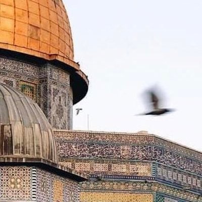 Ctnkayomer's profile picture. Bir İstanbul birde Kudüs düşlerimden düşmeyen …