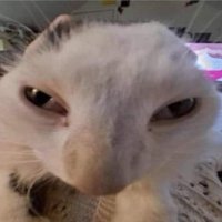 yeah.. (@ihatepremiere) 's Twitter Profile