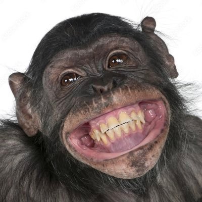 toftof98000's profile picture. 