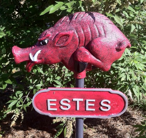 jestes812's profile picture. 