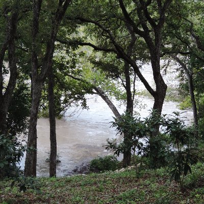 Chuck_STx's profile picture. Texas Native, UT, voracious reader