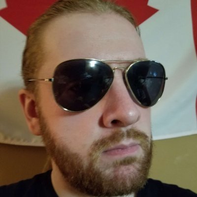 CheeseLantern's profile picture. How the hell is the Canadian Destroyer a transition move?