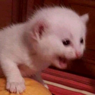 azrapse__'s profile picture. …