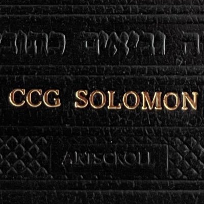 CCGSolomon's profile picture. Yahusha is King! CCG🦁 God first🇺🇸🐸Christian nationalist