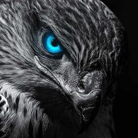 𝓐 𝓼 𝓟 𝓪 𝓻 𝔂 𝓪 𝓵 𝓲 (@asparyali) Twitter profile photo