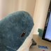 Angus (@ikeasharks_spx) Twitter profile photo Angus (@ikeasharks_spx) Twitter profile photo