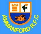 Ammanford Rugby