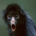 Al Porter - @al_porter - Twitter