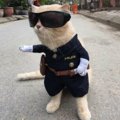 GabryelEst87251's profile picture. 