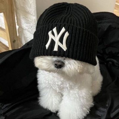 CryoIRL's profile picture. 𝙎𝙝𝙞𝙩𝙥𝙤𝙨𝙩𝙨
𝙈𝙪𝙨𝙞𝙘
𝟰𝟮𝟬 𝗥𝗲𝘃𝗶𝗲𝘄𝗲𝗿 & 𝗘𝗻𝗷𝗼𝘆𝗲𝗿