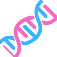 Biology 4 Trans Rights🏳️‍⚧️🧬(@bio4transrights) 's Twitter Profile Photo