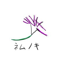 ネムノキ🌱(@nemunoki_rain) 's Twitter Profile Photo