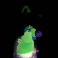 Toxic Jackal (@toxic__jackal) 's Twitter Profile