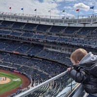 fan of the Yankees(@realboshek) 's Twitter Profile Photo