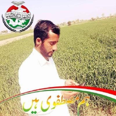 Coordintor Social Media Team PAT District Attock west