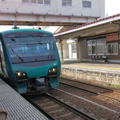 dolphin_nonameさんのプロフィール画像