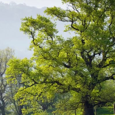 Partnering with local communities in North Georgia to Protect our Environment #climatechange #recycle @HallCounty