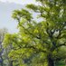 Environmental Associates (@environmen85871) Twitter profile photo Environmental Associates (@environmen85871) Twitter profile photo