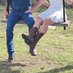 NQ couple (@nqcouple22) Twitter profile photo NQ couple (@nqcouple22) Twitter profile photo