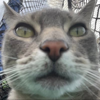 ashleenthepeen's profile picture. 