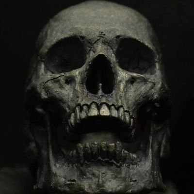 SinisterCAWS Profile Picture