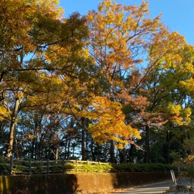 gotu5103's profile picture. 無言フォロー失礼します。