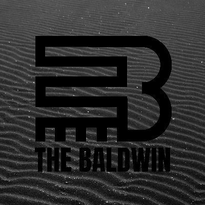 THE BALDWIN is a Black-owned multimedia publication based in NYC, covering social justice through the lens of culture as it manifests through politics + culture