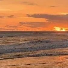 oylesine1hesap3's profile picture. 