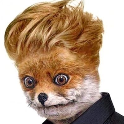 rektcryptofox Profile Picture