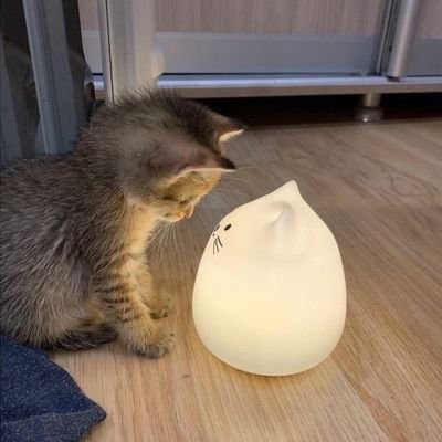 shuginco's profile picture. 