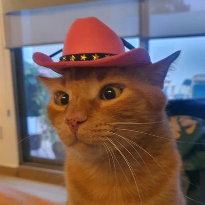 📈& 🚑
I like D&D, Audrey Hepburn, Fangoria, Harry Houdinni and croquet. I can't swim, I can't dance and I don't know karate. Face it, I'm never gonna make it.