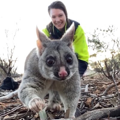 PhD candidate studying genetics & morphology of threatened Australian mammals @biolsci_uwa | Research associate @WAMuseum | Conservation-geneticist-in-progress