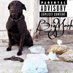 Mookie the Don (@mookie_the_don) Twitter profile photo Mookie the Don (@mookie_the_don) Twitter profile photo