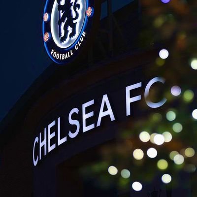 Chelsea F.C.💙 || Economist || I follow back, 100%
