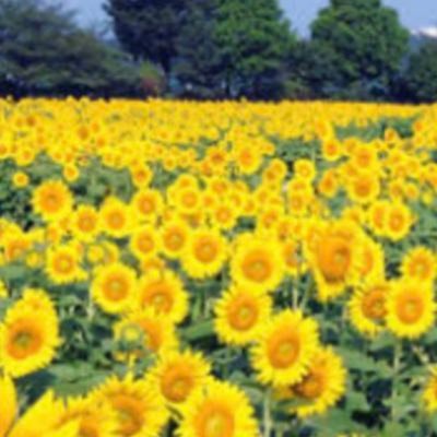 中島ヨシキさんを応援しています！