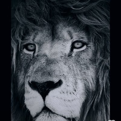 gkcy_burhan's profile picture. Gönülden sevenler yolunda bir adım