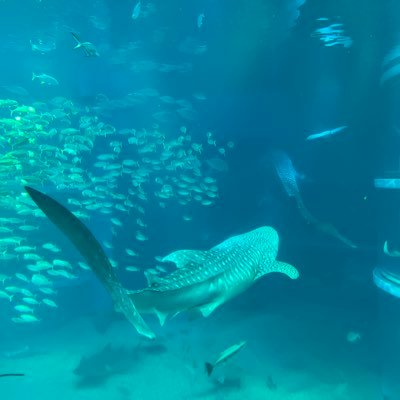 Hiro_Fxjp's profile picture. FX専用アカ @nori_nosukeさんの手法に巡り合い、nori_studyでただいま勉強中 まずはFT5で勉強コーナー #50まで