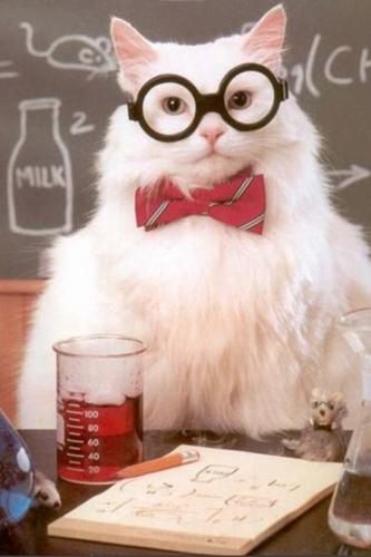 drsciman's profile picture. Physicist.  Hockey player.  Doctor Who fan.  Proud citizen of the world.
