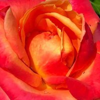 aosfister (@aosfister) 's Twitter Profile Photo