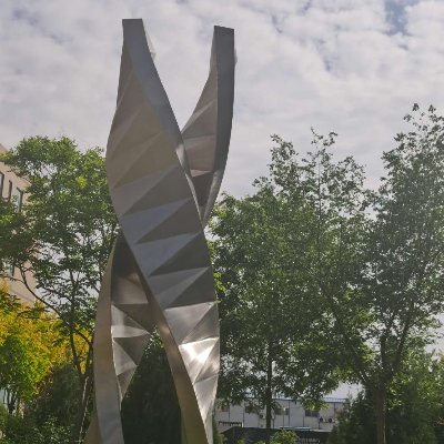 FLY25889495's profile picture. 