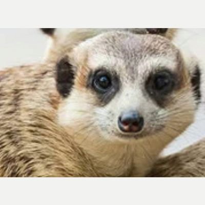 fakhteh_8's profile picture. طرفدار همیشگی بارسلونا، پرسپولیس، آرژانتین و تلگرام.