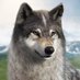 【公式】ウルフゲーム:ザ・ワイルド・キングダム(好評配信中) (@wolfgame_jp) Twitter profile photo 【公式】ウルフゲーム:ザ・ワイルド・キングダム(好評配信中) (@wolfgame_jp) Twitter profile photo