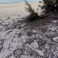 khang khang ❤️ Memecoin (@khangkh85) 's Twitter Profile