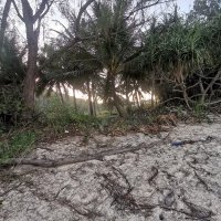 ka ka ❤️ Memecoin (@kaka06578) 's Twitter Profile