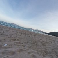 toc duoc ❤️ Memecoin (@duoctoc) 's Twitter Profile