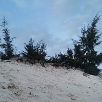 nhat ly ❤️ Memecoin (@nhatly26015627) 's Twitter Profile