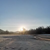 huyen thu ❤️ Memecoin (@huyenth30883659) 's Twitter Profile