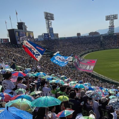 ys_kiyo1's profile picture. 