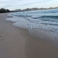 thong hoa ❤️ Memecoin (@thonghoa4) 's Twitter Profile