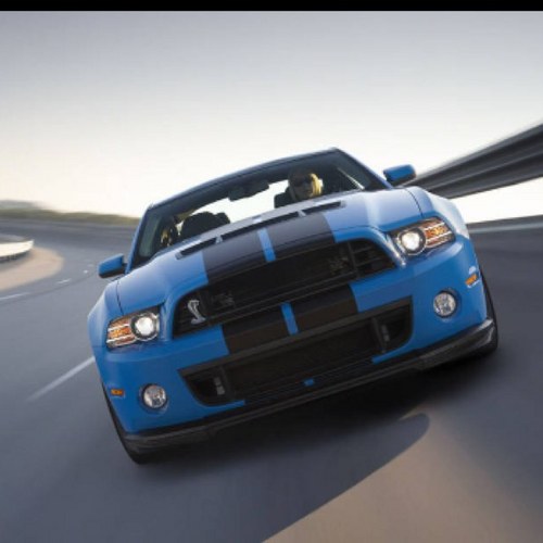 trolf68's profile picture. 